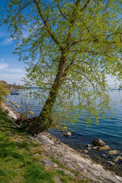 Sjön Våren Blå Himmel Och Solljus — Stockfoto