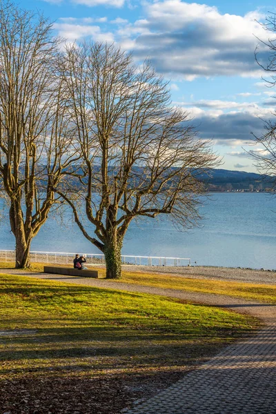 湖滨春天的蓝天和树木 — 图库照片