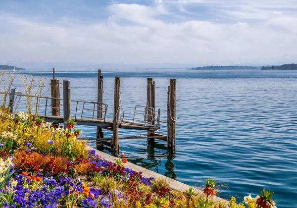 Constance Gölü 'nde tatil. Güneş ışığı. Mavi gökyüzü ve renkli çiçekler.