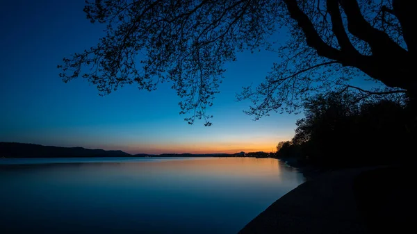 康斯坦茨湖湖岸在蓝色的时刻 树木在前景光明 — 图库照片