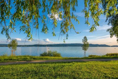 Güzel Constance Gölü 'nde yaz tatili mavi gökyüzü ve güneş ışınlarıyla Mettnau Radolfzell am Bodensee