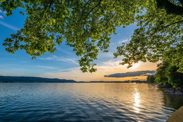 Mettnau Radolfzell gün batımı Ağaçlar ve suyla