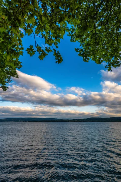 Constance Gölü mavi gökyüzü bulutları ve güneş ışığı ve yapraklar ön planda