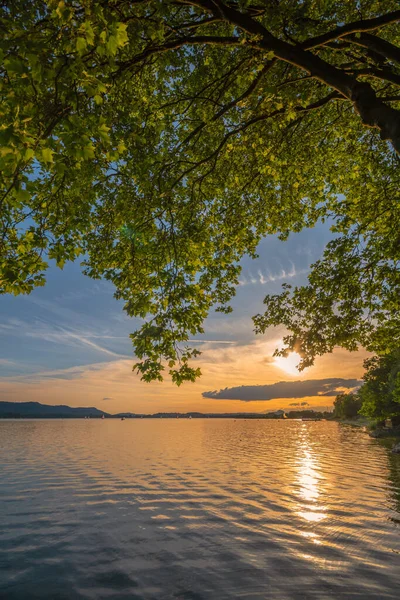 Radolfzell Mettnau, Constance Gölü 'nün batımında.