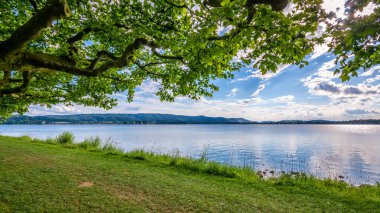 Constance Gölü 'nde tatil. Radolfzell Köstebek mavi gökyüzü ve güneş ışığı.