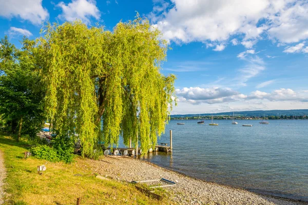 Allensbach Sjö Strand Vackra Bodensjön — Stockfoto