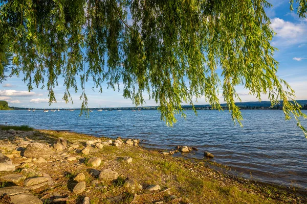 Sjöstrand Vid Vackra Bodensjön Sommaren — Stockfoto