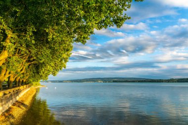 Summer landscape Lake Constance sunshine blue sky