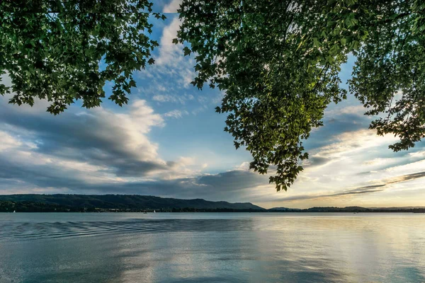 Evening Sun Lake Constance Summer Landscape — Stockfoto