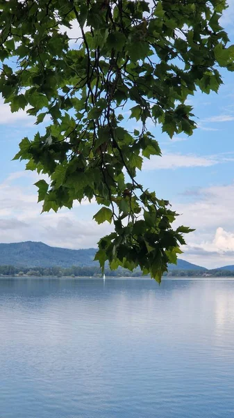 Beautiful Summer Vacation Lake Constance —  Fotos de Stock