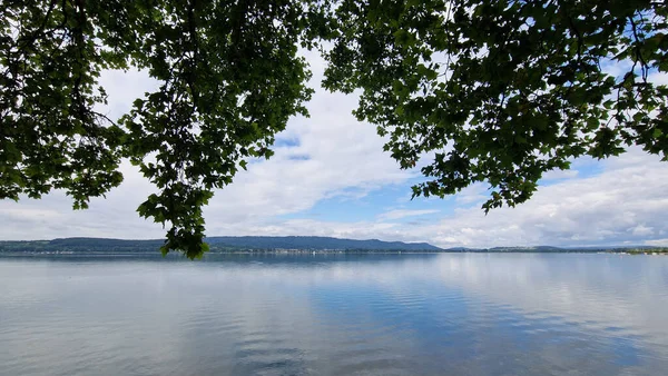 Summer Beautiful Lake Constance Lakefront Radolfzell Mettnau — 图库照片