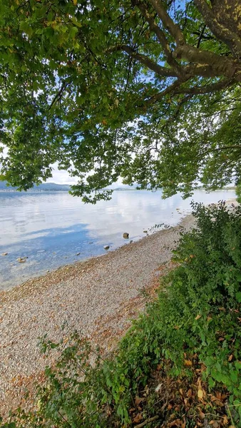 Summer Holidays Lake Constance Lake Shore Mettnau Peninsula — Fotografia de Stock