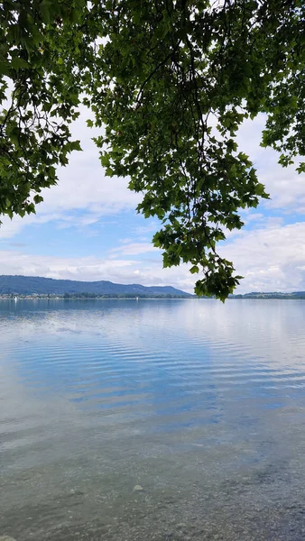 Summer Beautiful Lake Constance Lakefront Radolfzell Mettnau — Fotografia de Stock