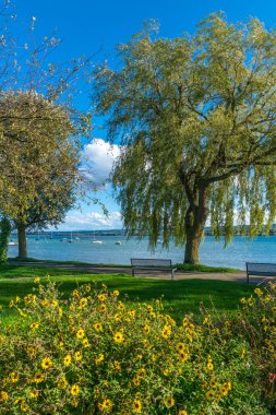 Constance Gölü 'nde Tatil Allensbach Yazı