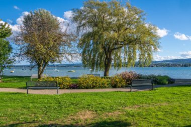 Yazın Constance Gölü kıyısındaki banklar Allensbach