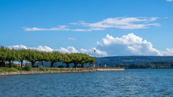 Radolfzell Bodensee Blick Auf Die Seebrücke Sommer — Stockfoto