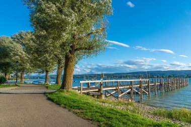 Constance Gölü 'nde Tatil Allensbach Yazı