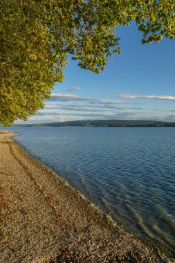  Yaz mevsiminde Bodensee Gölü. Mavi gökyüzü ve güneş ışığı.