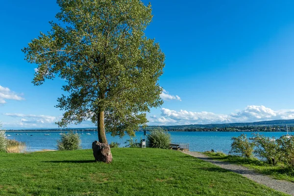 Urlaub Bodensee Allensbach Sommer — Stockfoto