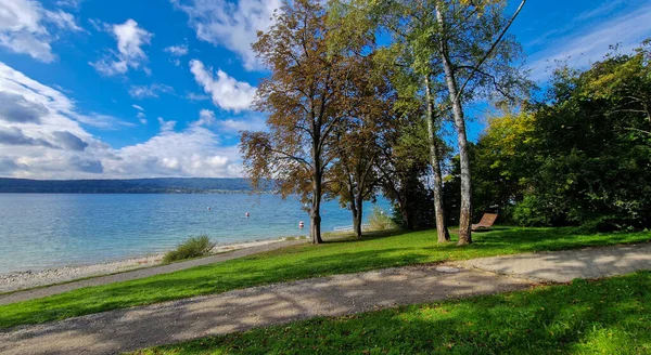 Höstlov Vid Den Vackra Bodensjön — Stockfoto