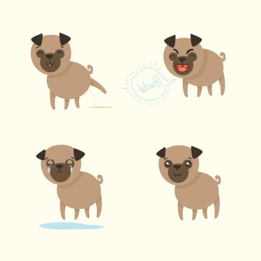 köpek pug