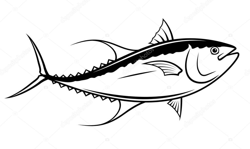 Black and white tuna painting, vector