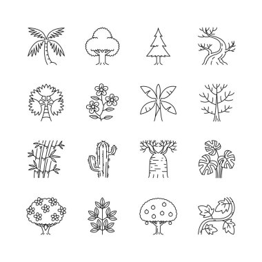 Set of thin black streaked trees on a white background.