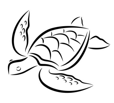 Sea turtle drawing black lines on a white background.