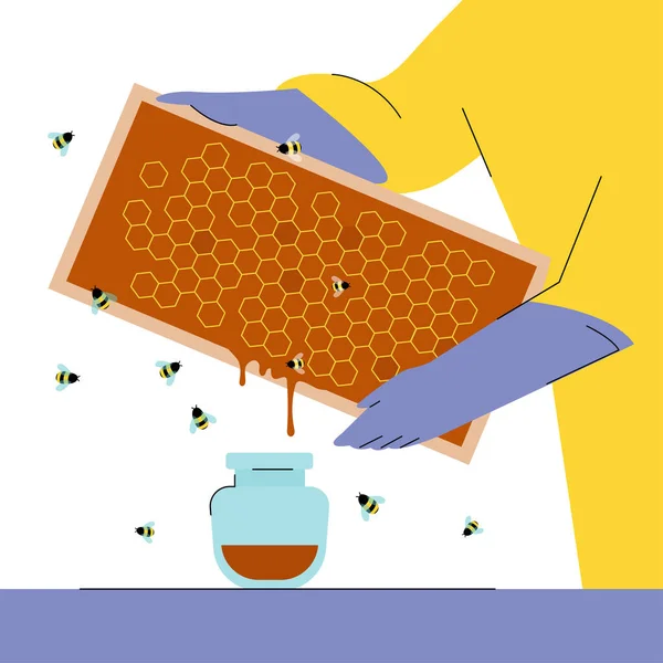 Bee Keeper Holding Honey Cells Caring Bees Apiary Concept Honey — Stock Vector