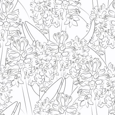 Elle çizilmiş sümbül çiçekleri ile kusursuz vektör deseni