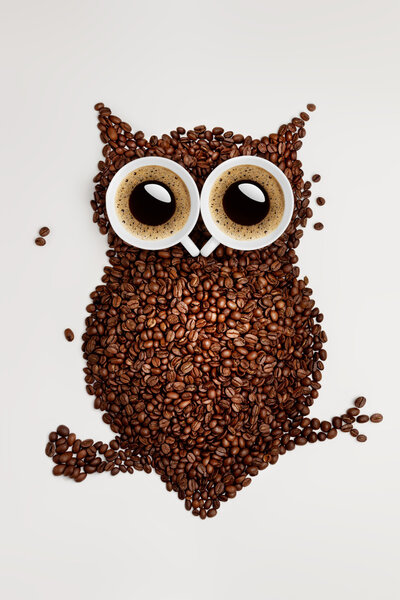 Coffee owl.