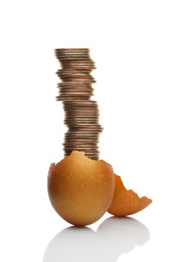 Günümüzde altın kaz.