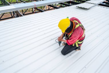 A Roofer using electric drill nail gun installing PU foam roof sheet under construction. Working at height equipment.  building