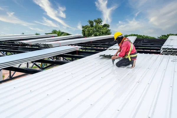 A Roofer Construction worker install new roof, Electric drill used on new roofs with white Metal Sheet. Working at height equipment. Fall arrestor device for worker.