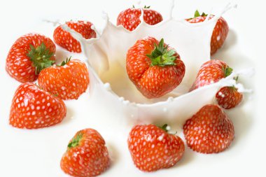 Red strawberry fruits falling into the milk clipart