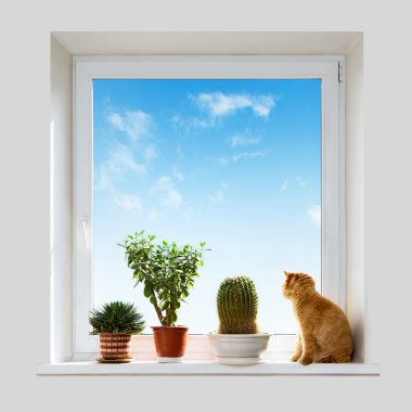 Cat and house plants clipart