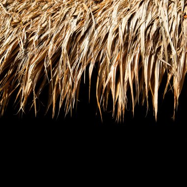 Thatch roof clipart
