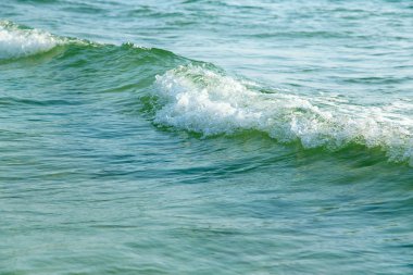 dalga deniz