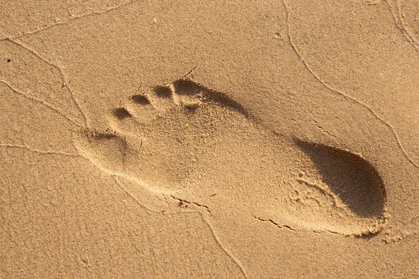 Footstep on beach — Stock Photo, Image