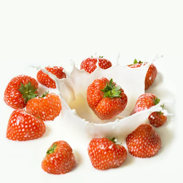 Red strawberry fruits falling into the milk — Stock Photo, Image