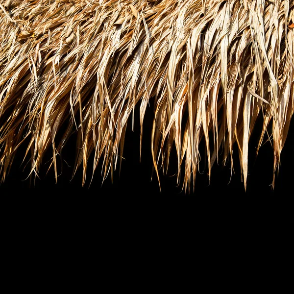 Thatch roof — Stock Photo, Image