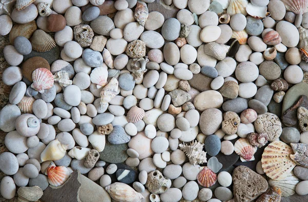 Skořápky a kameny — Stock fotografie