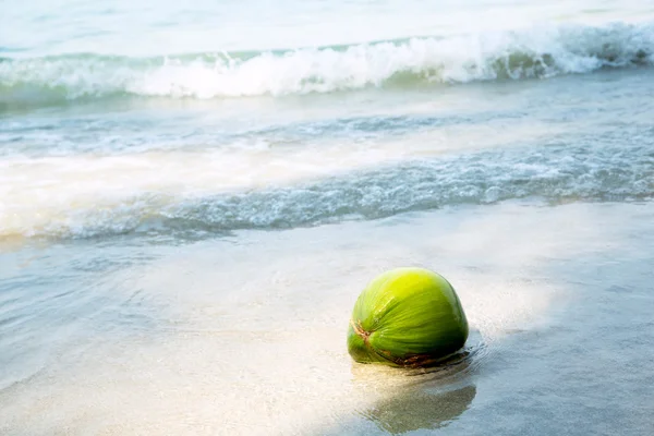 Coconut on tropical beach — Stock Photo, Image