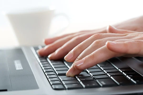 Hands over keyboard — Stock Photo, Image