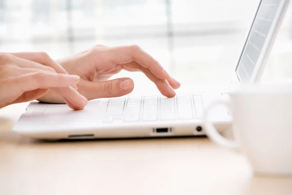 Female hands on laptop — Stock Photo, Image