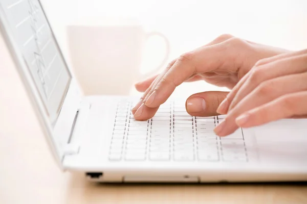 Female hands on laptop — Stock Photo, Image