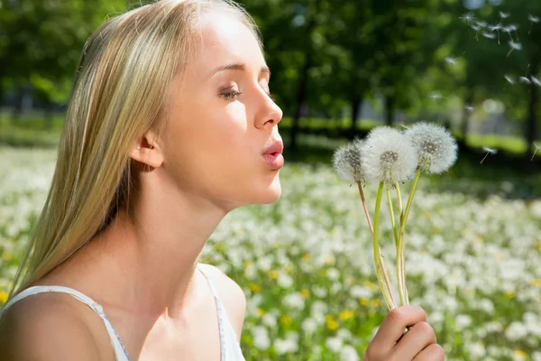 Girl blowing on white dandelion — Stock Photo, Image