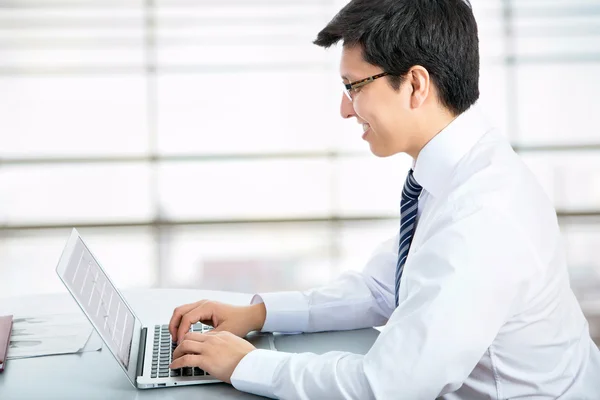 Hombre de negocios con portátil Fotos de stock