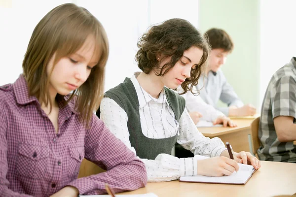 Gruppo di studenti — Foto Stock