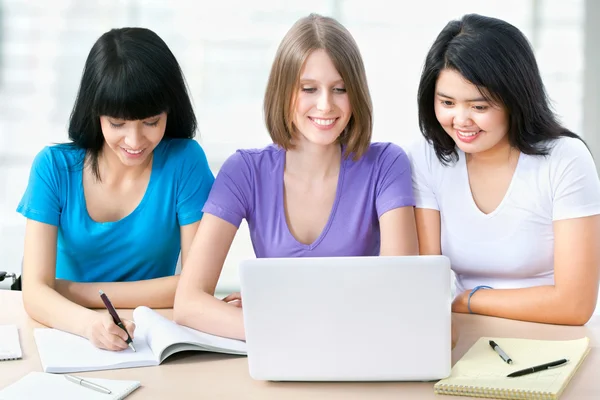 Young students studying together — Stock Photo, Image